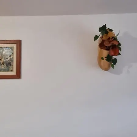 Apartment Caratteristico Bilocale Per Affitti Brevi *